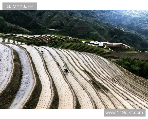 鲁本迪亚斯：从新星崛起到足坛巨星的辉煌历程与未来展望